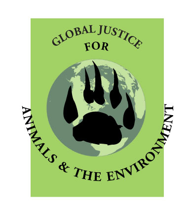 Global Justice for Animals and the Environment