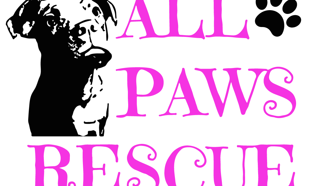 All Paws Rescue