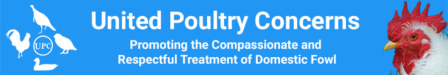 United Poultry Concerns – News Releases
