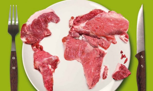 Meat Atlas: facts and figures about the animals we eat