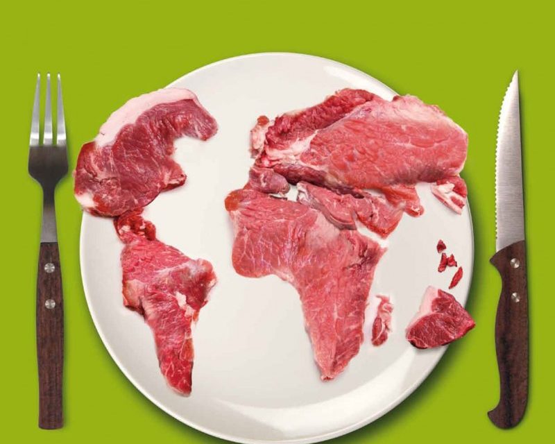 Meat Atlas: facts and figures about the animals we eat