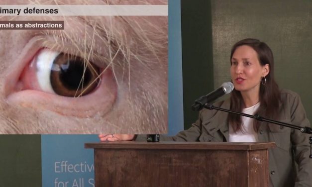 Melanie Joy – Understanding the Psychology of Eating Animals for Effective Vegan Advocacy