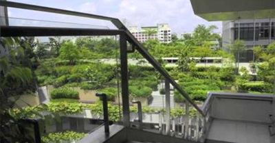Singapore: Biophilic City (2012)