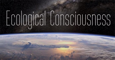 The Evolution of Ecological Consciousness (2013)