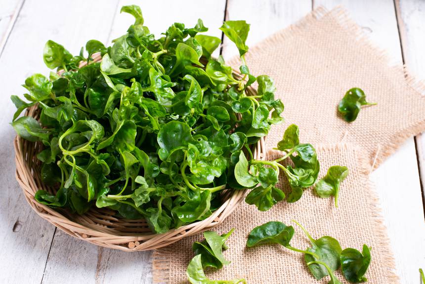 10 Powerhouse Vegetables to Start Eating More Of