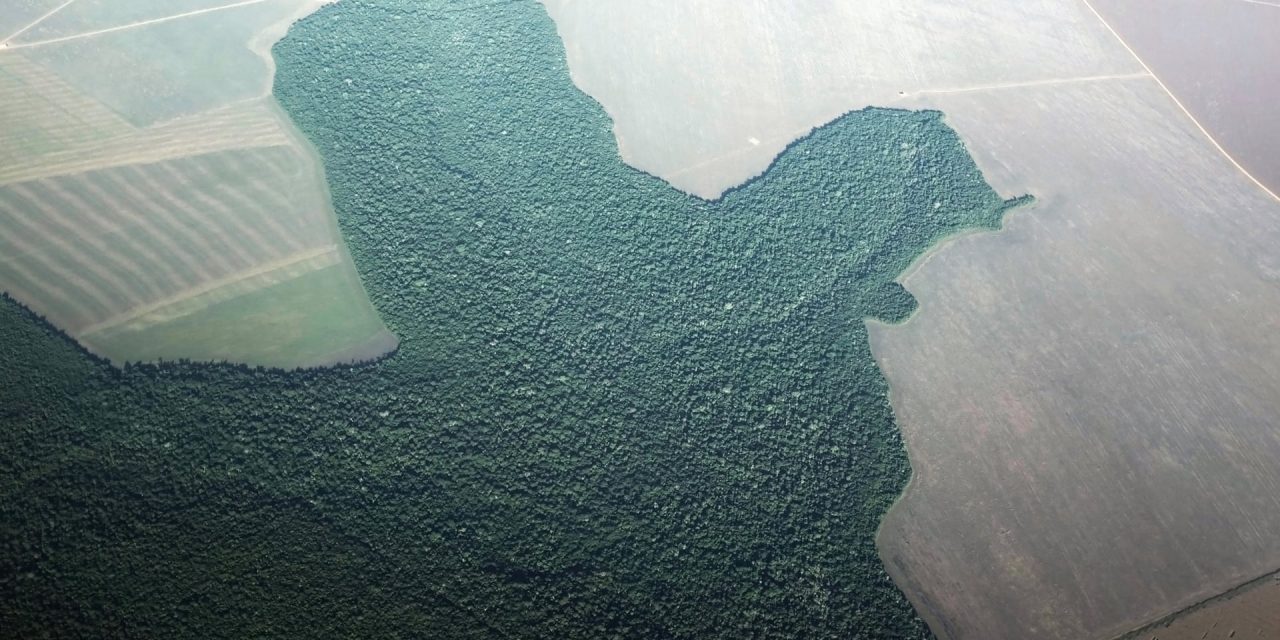 Amazon Deforestation Accelerating Towards Unrecoverable ‘Tipping Point’