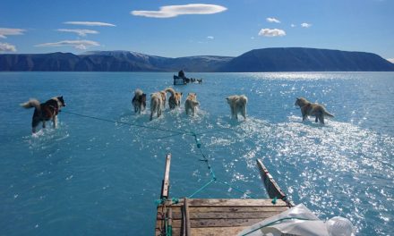 In Greenland’s Melting Ice, A Warning on Hard Climate Choices