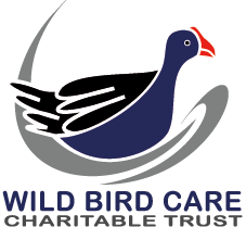 Wild Bird Care Charitable Trust