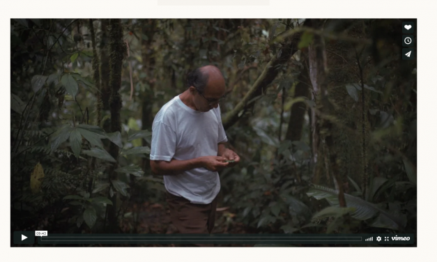 In Ecuador, One Man’s Mission to Restore a Piece of the Rainforest