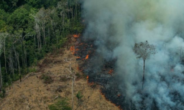 Indigenous Tribes on Front Line of Amazon Rainforest Fires Vow to Resist Bolsonaro’s “Destruction of Mother Nature”
