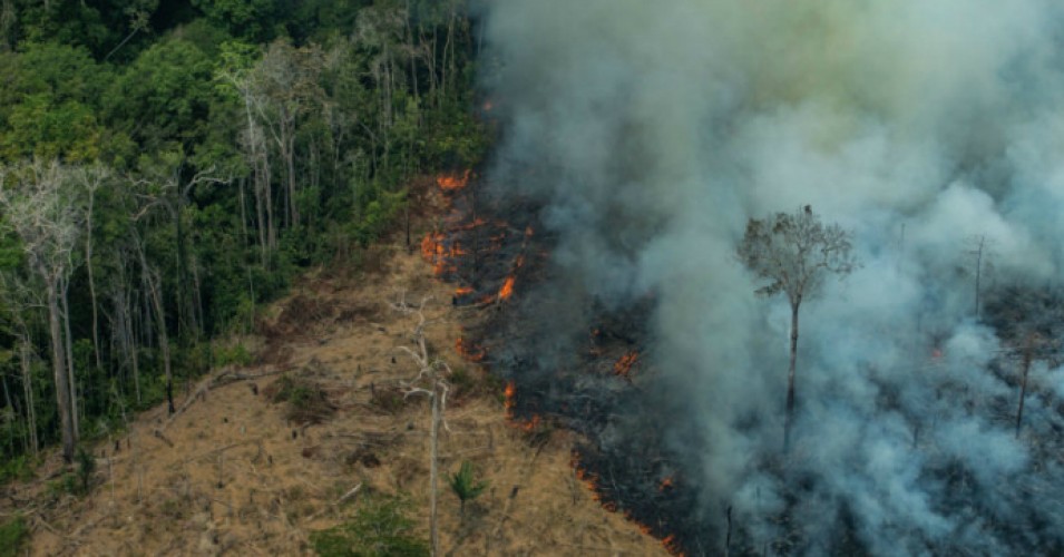 Indigenous Tribes on Front Line of Amazon Rainforest Fires Vow to Resist Bolsonaro’s “Destruction of Mother Nature”