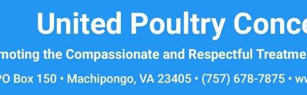 United Poultry Concerns