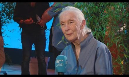 Jane Goodall on Climate Change: ‘Something’s Got to Give’