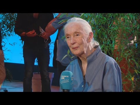 Jane Goodall on Climate Change: ‘Something’s Got to Give’