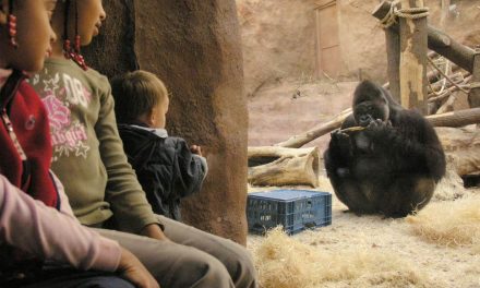 Zoos Are Outdated and Cruel – It’s Time to Make Them a Thing of the Past