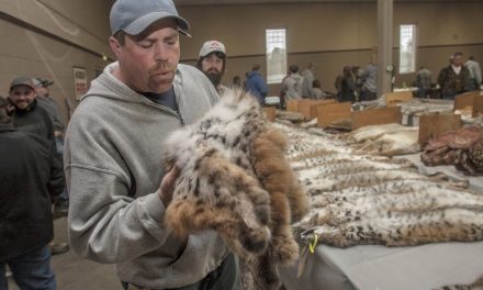 California Becomes First State to Ban Fur Trapping