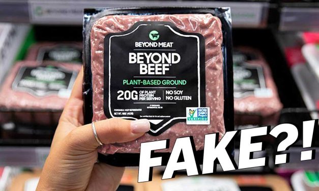 Actually, There’s Nothing Fake About Fake Meat