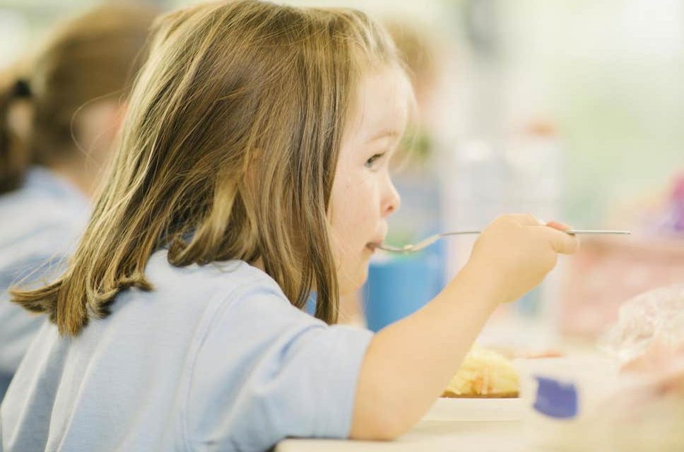 Sixty Scientists Sign Open Letter Calling for Less Meat and Dairy in Schools and Hospitals