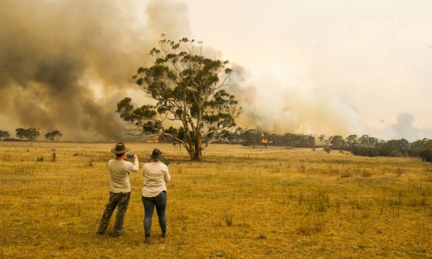 The Bushfire Crisis Is a Wake-Up Call We Can’t Afford to Ignore