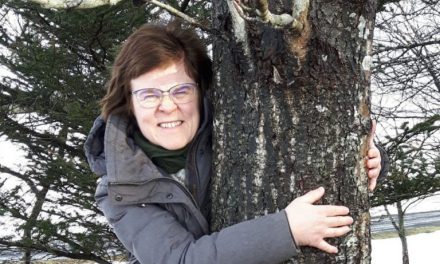 Forest Service Recommends Hugging Trees While You Can’t Hug Others