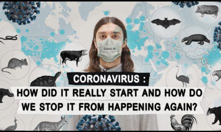 CORONAVIRUS: How Did it Really Start & How Do We Stop it From Happening Again?