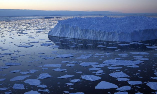 Microplastics Found in Antarctic Sea Ice Samples for First Time, Scientists Say