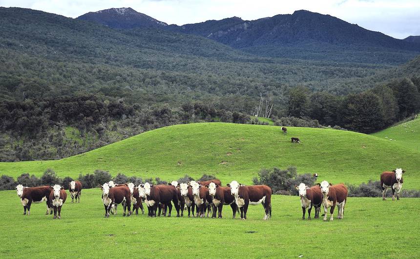 Farmers in New Zealand Are Offended by Climate Change Curriculum