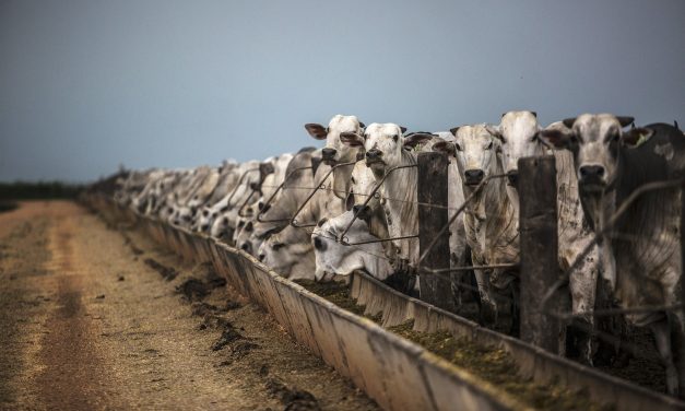Methane Emissions Have Jumped a Staggering Nine Percent Since Last Decade