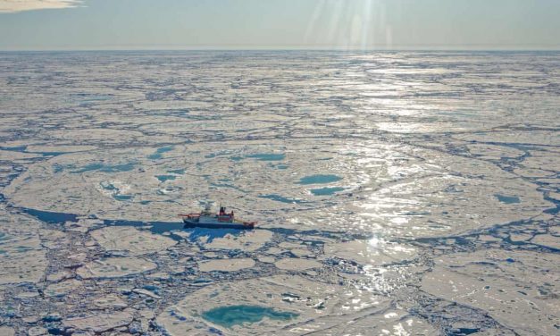 A Troubling Discovery in the Arctic