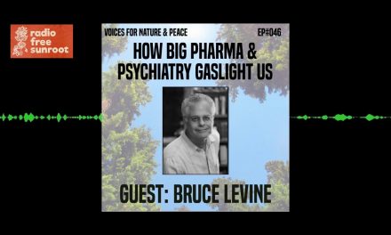How Big Pharma & Psychiatry Gaslight Us: Interview with Bruce Levine