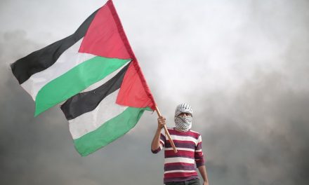 Fifteen Thoughts on Palestine