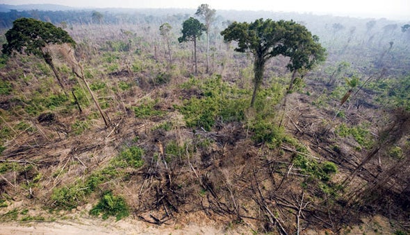 The Dreaded Rainforest Shift