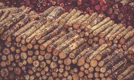 The Woody Biomass Blunder