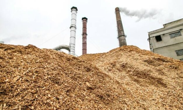 The Biomass Peril